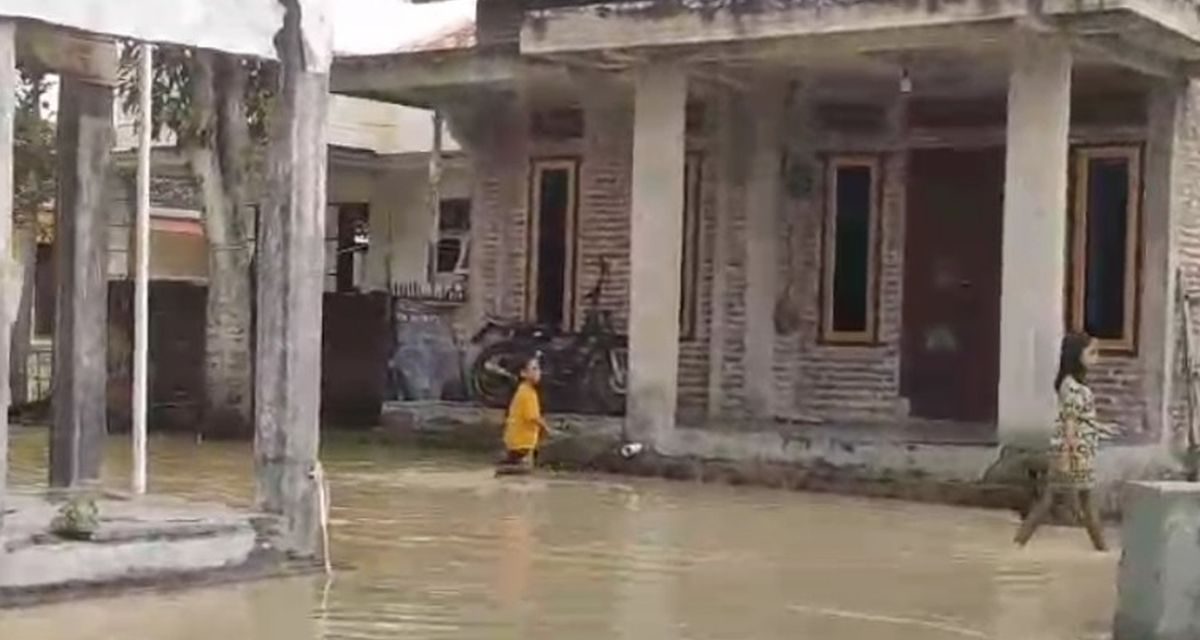 Brebes Siaga! Tanggul Ciapit Jebol, 4 Desa Terendam Banjir