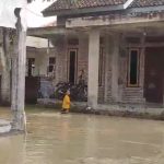 Brebes Siaga! Tanggul Ciapit Jebol, 4 Desa Terendam Banjir