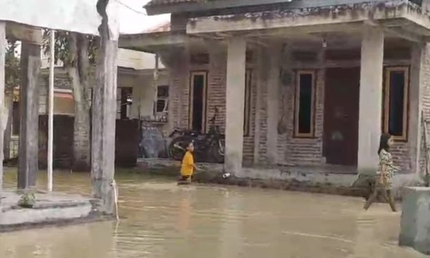 Brebes Siaga! Tanggul Ciapit Jebol, 4 Desa Terendam Banjir