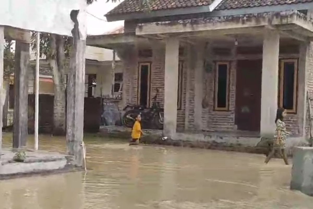 Brebes Siaga! Tanggul Ciapit Jebol, 4 Desa Terendam Banjir