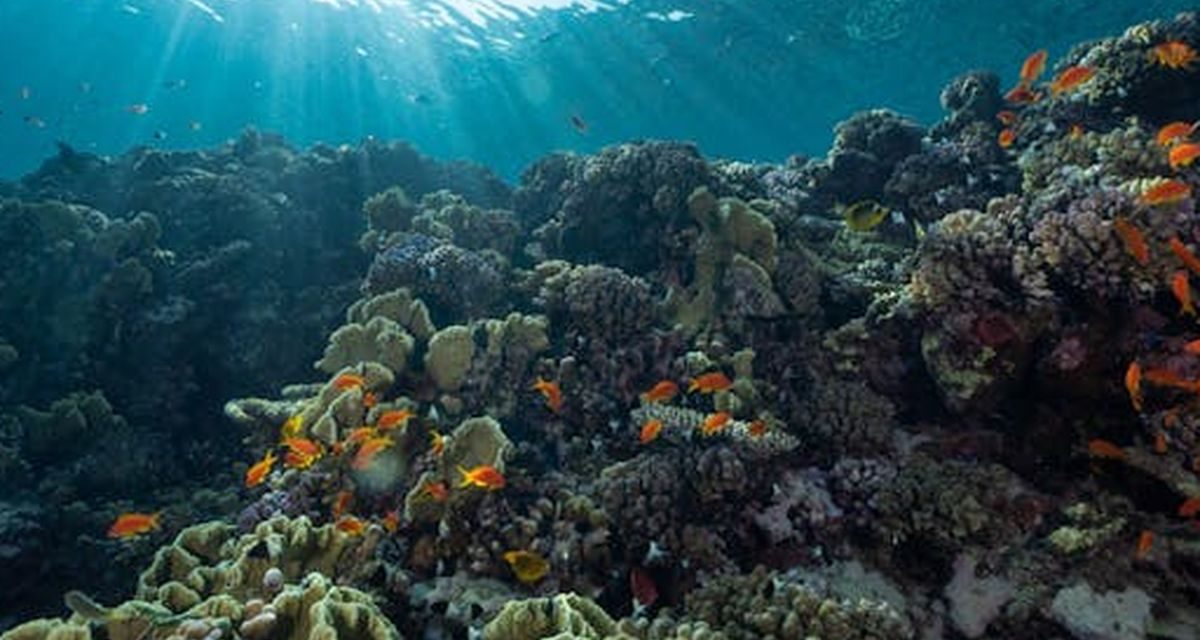 Data Terbaru: 50 Persen Air Di Dunia Sudah Tak Lagi Bersih