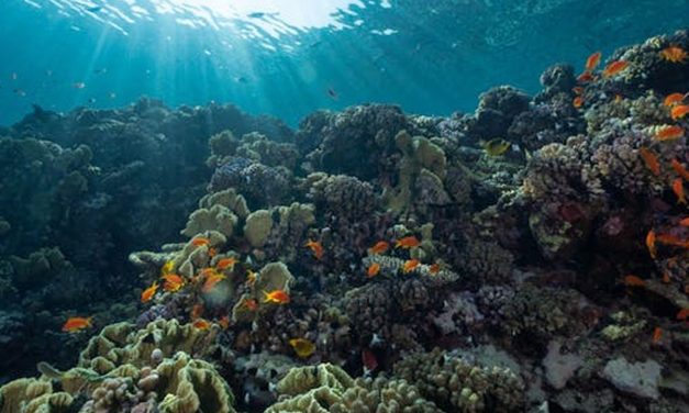 Data Terbaru: 50 Persen Air Di Dunia Sudah Tak Lagi Bersih