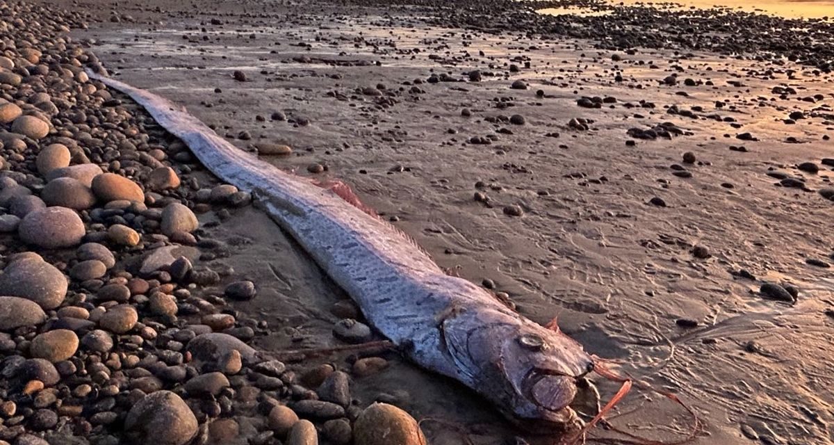 Hukum Laut Lumpuh, Samudra Di Ambang Kiamat