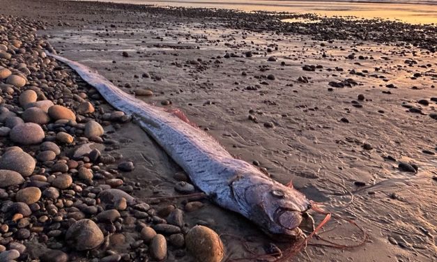 Hukum Laut Lumpuh, Samudra Di Ambang Kiamat